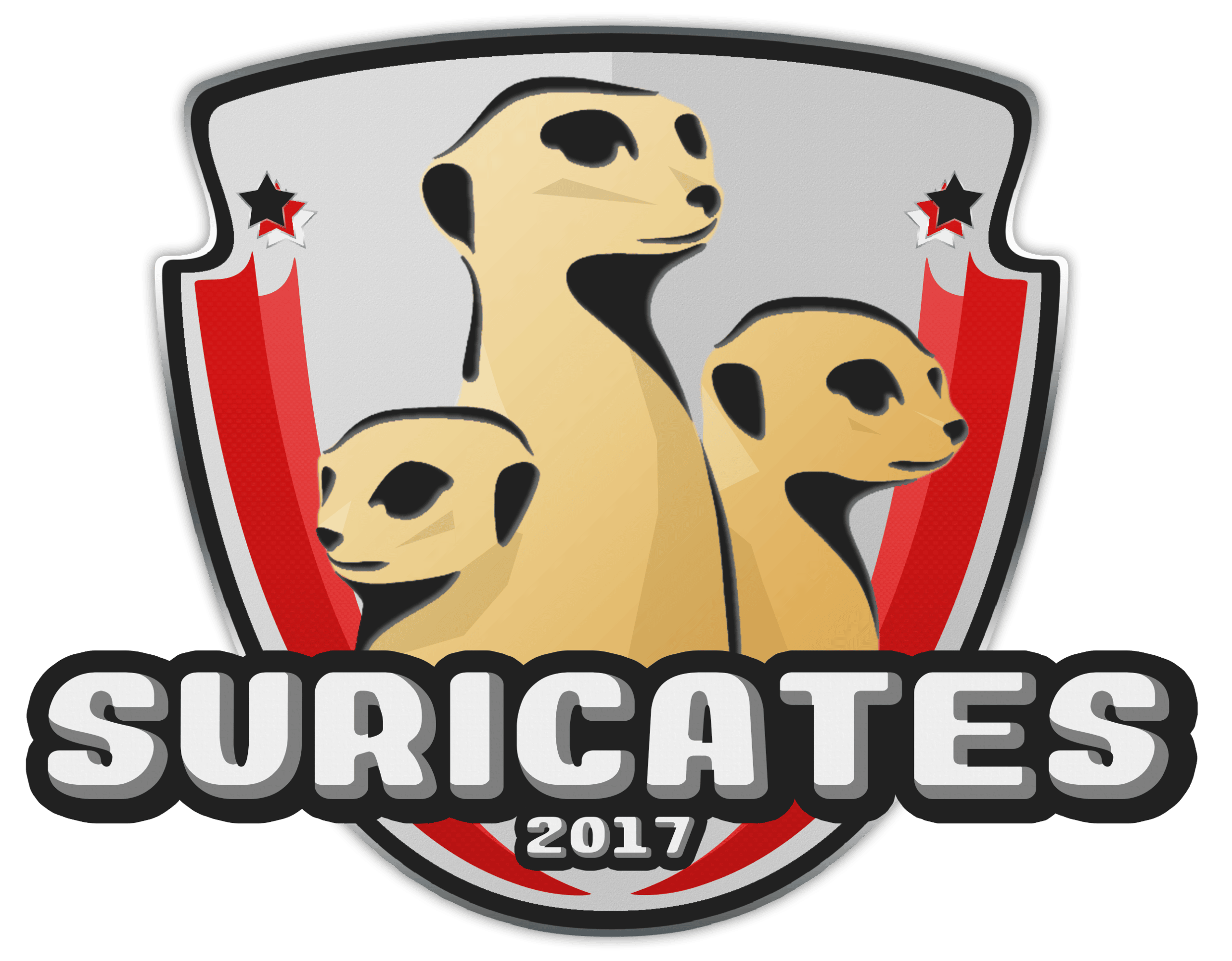FSV Suricates 2017 Münster e.V.